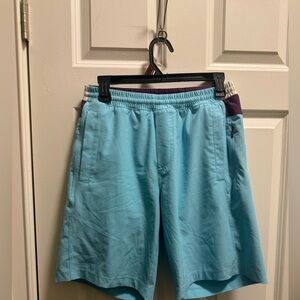 Mens Birddogs Lined Athletic Shorts